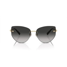 TIFFANY 3096 60213C 60 Sunglasses 