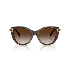 TIFFANY 4232 80153B 53 Солнцезащитные очки - 1