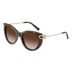 TIFFANY 4232 80153B 53 Sunglasses - 2