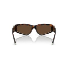 TIFFANY 4234U 80153G 55 Kahverengi Kadın Güneş Gözlüğü - 4