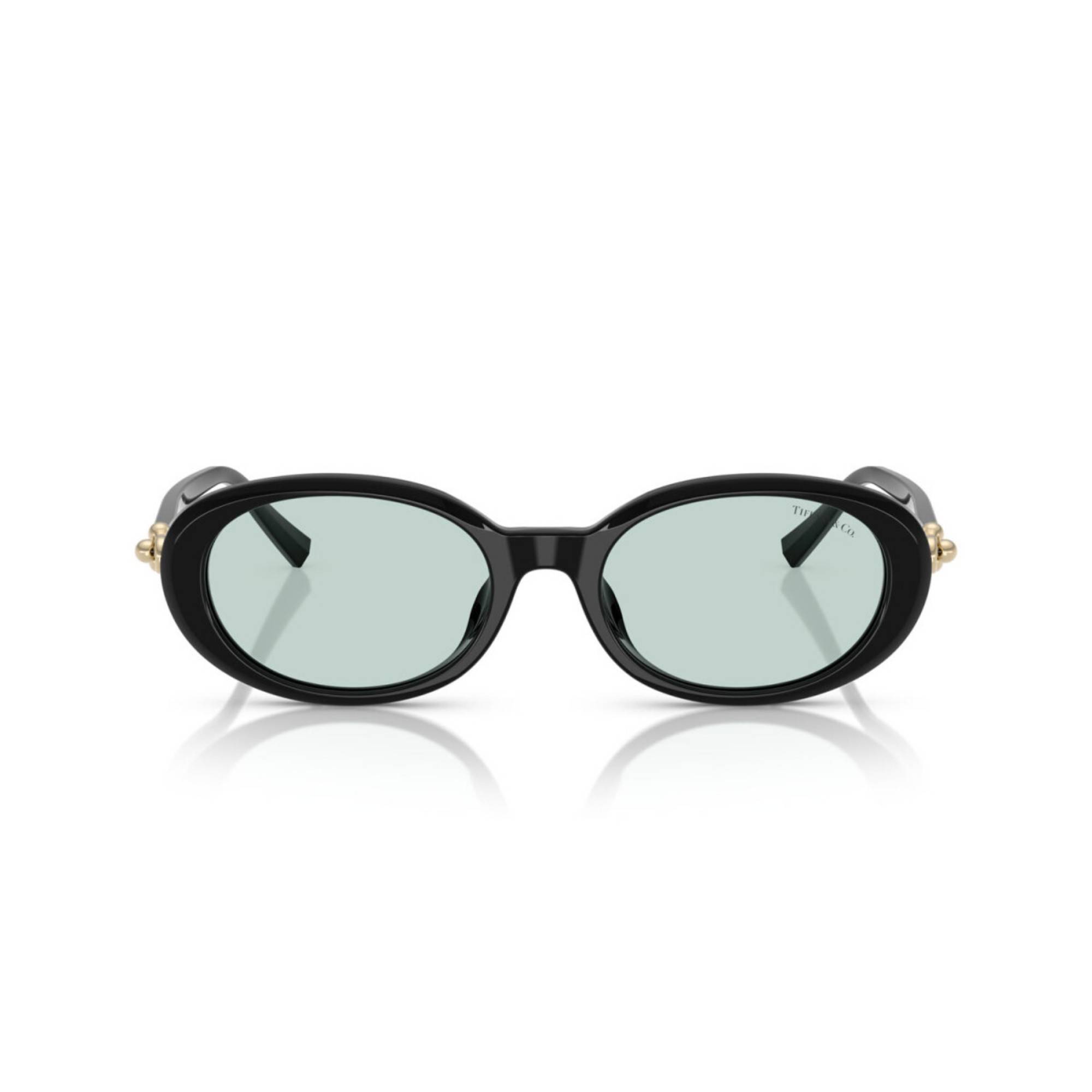TIFFANY 4242D 8001D9 54 Siyah Kadın Güneş Gözlüğü - 2