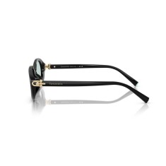 TIFFANY 4242D 8001D9 54 Солнцезащитные очки - 3