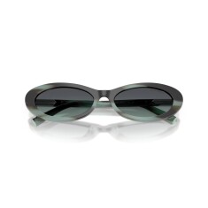 TIFFANY 4250 84432G 56 Sunglasses - 5