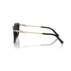 TIFFANY 4253 80013C 55 Солнцезащитные очки - 3