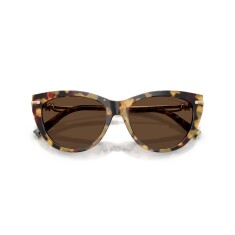 TIFFANY 4253 80643G 55 Sunglasses - 5